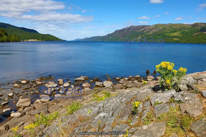  : Loch Ness in the Scottish Highlands from Fort