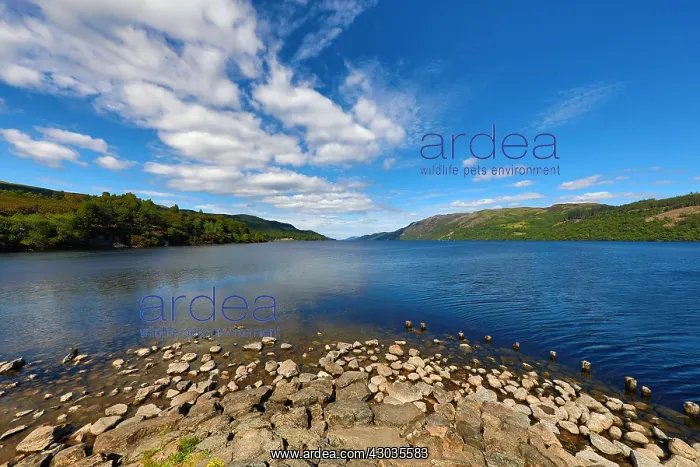  : Loch Ness in the Scottish Highlands from Fort