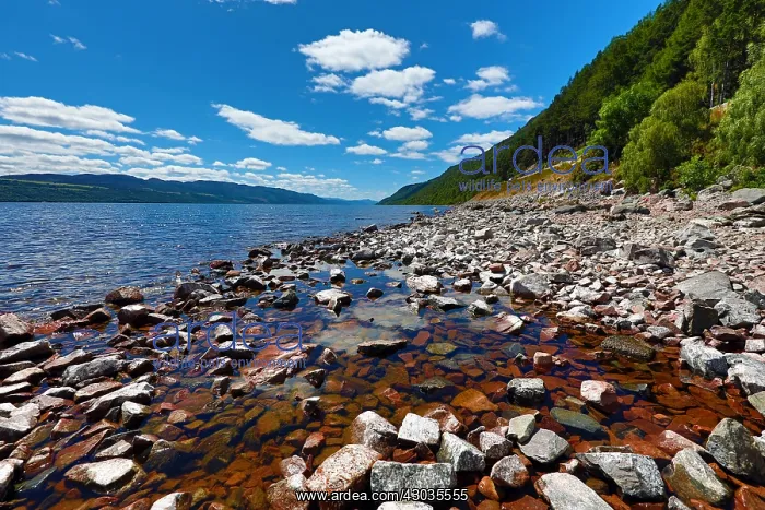  : Loch Ness in the Scottish Highlands, Scotland