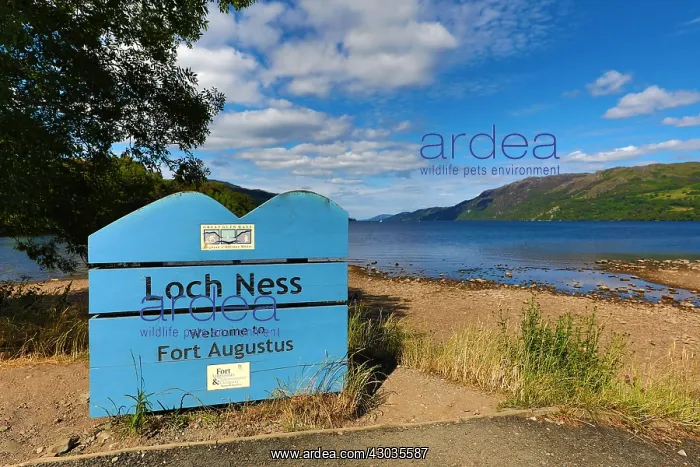  : Loch Ness sign and Loch Ness in the Scottish
