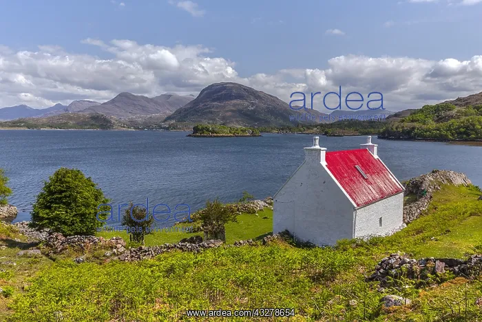 : Loch Shieldaig - red roofed cottage at sea Loch : Loch Shieldaig - red roofed cottage at sea Loch
