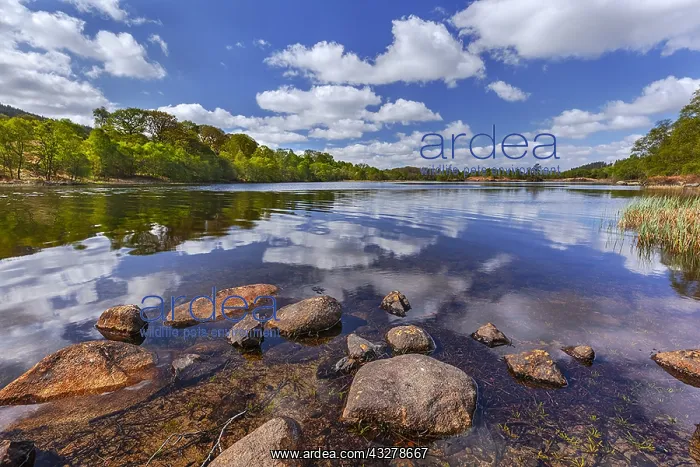  : Loch Trool - a tranquil day on the shores of Loch