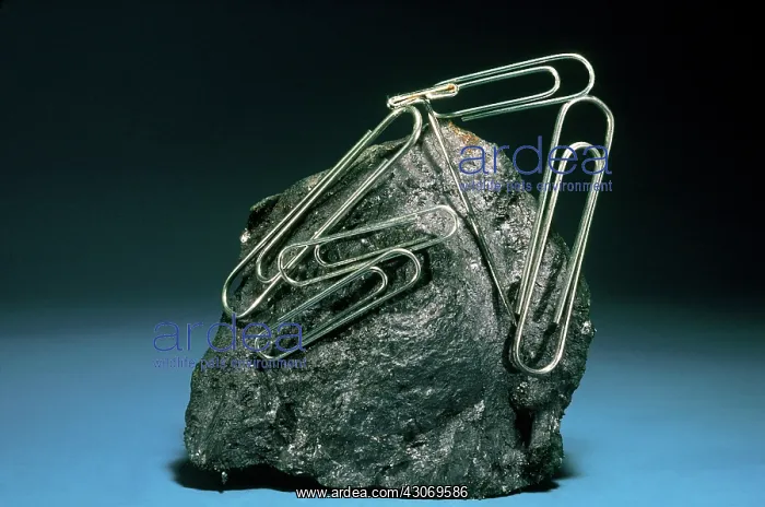 : Lodestone, from Magnet Cove, Arkansas : Lodestone, from Magnet Cove, Arkansas