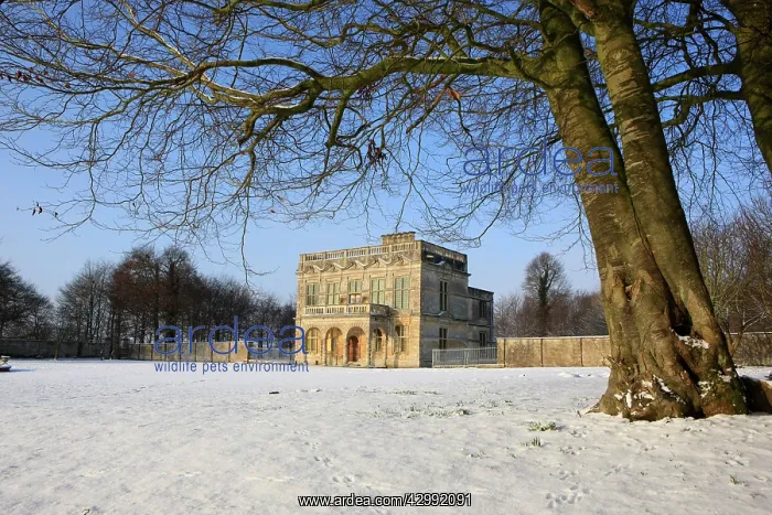  : Lodge Park Banqueting Hall and Grandstand viewing area