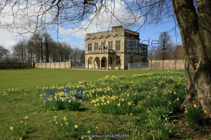 : Lodge Park Banqueting Hall and Grandstand viewing area : Lodge Park Banqueting Hall and Grandstand viewing area