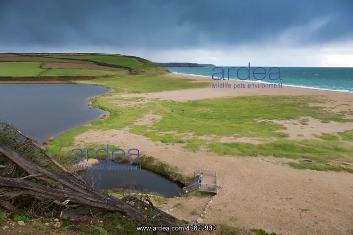 : Loe Bar. Cornwall - UK