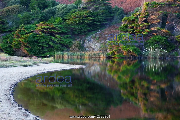 : Loe Pool and Loe Bar : Loe Pool and Loe Bar