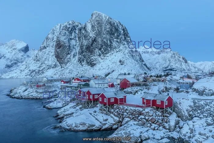 : Lofoten winter view - picturesque winter view of historic fi : Lofoten winter view - picturesque winter view of historic fi
