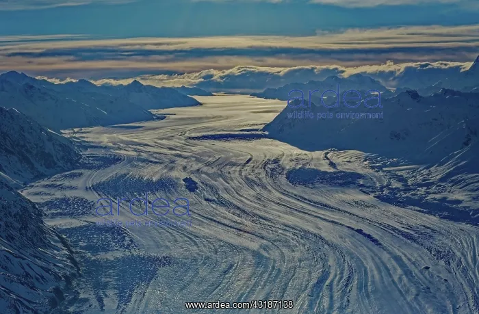 : Logan Glacier, Kluane Icefield Ranges, Kluane National : Logan Glacier, Kluane Icefield Ranges, Kluane National