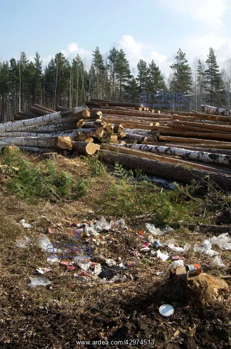 : Logging site - rubbish left by loggers - stacked : Logging site - rubbish left by loggers - stacked