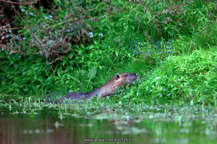 : Along the Loire : Along the Loire