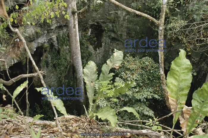 : Loltun Caves, Mexico : Loltun Caves, Mexico