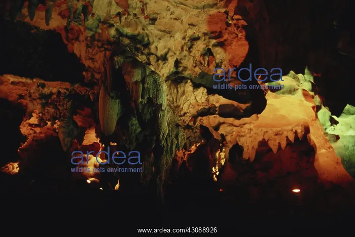 : Loltun Caves, Mexico : Loltun Caves, Mexico