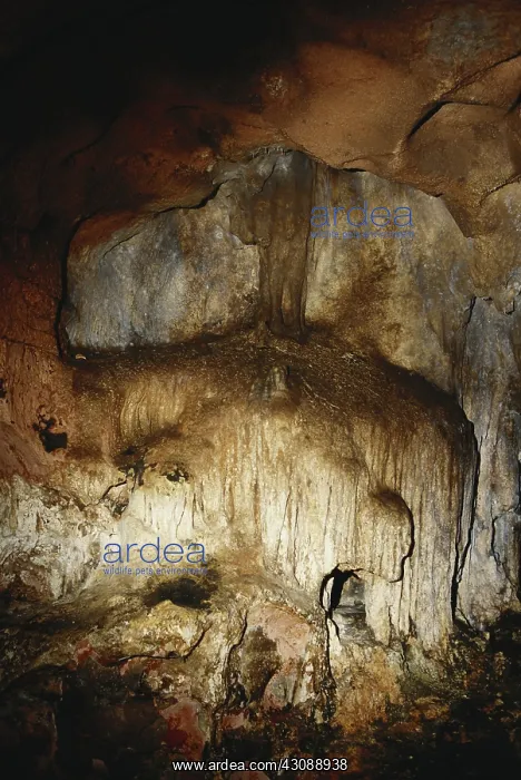  : Loltun Caves, Mexico