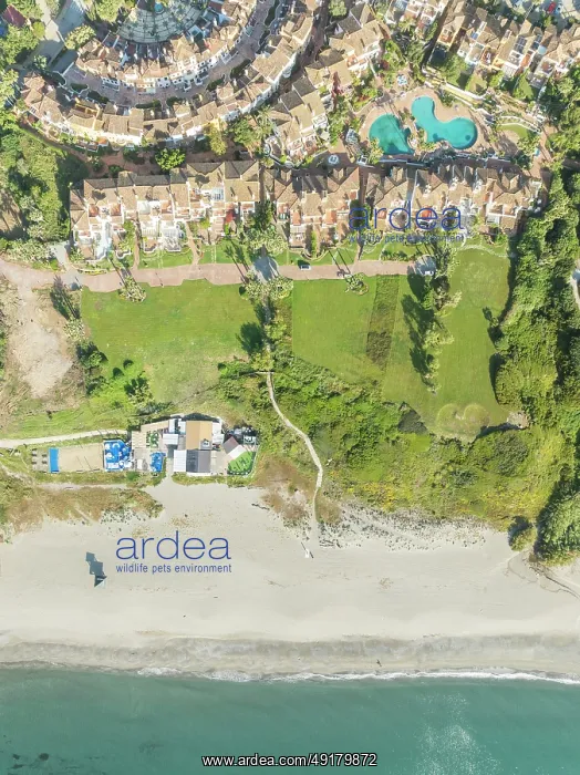 : The Loma del Rey gated community is part of the La Alcaidesa urbanization at the Mediterranean Sea : The Loma del Rey gated community is part of the La Alcaidesa urbanization at the Mediterranean Sea
