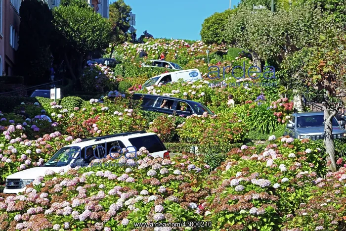 : Lombard Street, the crookedest street in the : Lombard Street, the crookedest street in the