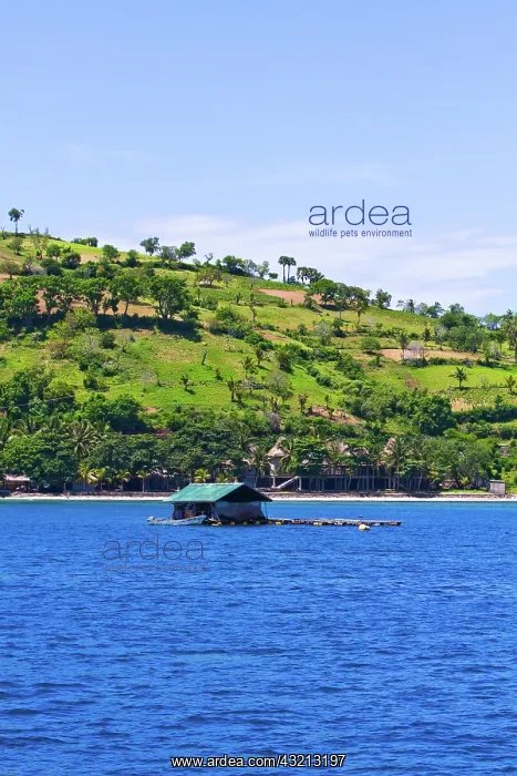: Lombok, Indonesia. Bali's neighboring island : Lombok, Indonesia. Bali's neighboring island