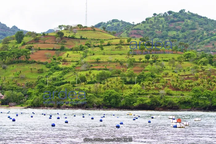 : Lombok, Indonesia. The coastline of Lombok : Lombok, Indonesia. The coastline of Lombok