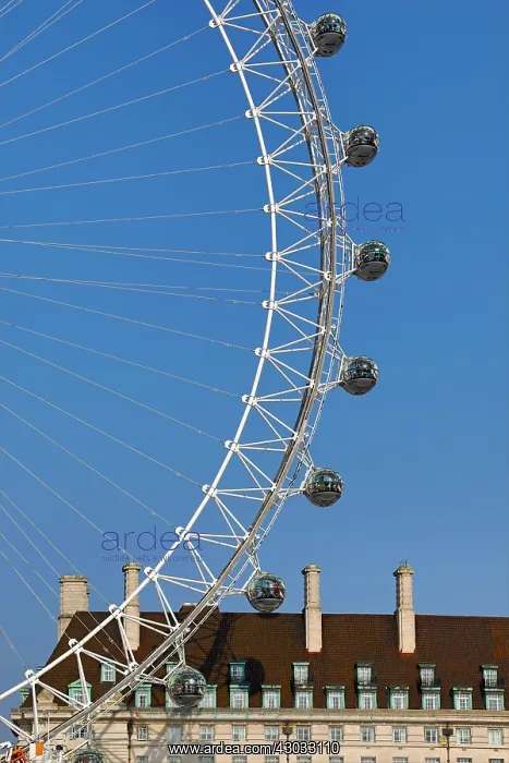 : The London Eye on the Southbank, London, England : The London Eye on the Southbank, London, England