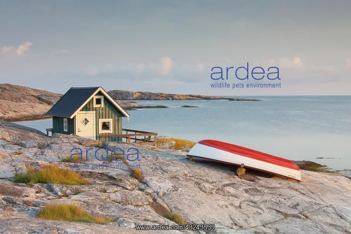 : Lonely fishing hut at the sea near Smoegen Bohuslaen : Lonely fishing hut at the sea near Smoegen Bohuslaen