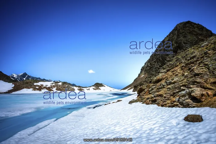 : A lonely, frozen lake surrounded by snow-covered mountains : A lonely, frozen lake surrounded by snow-covered mountains