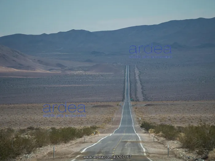 : Lonely long road through desert landscape, Highway : Lonely long road through desert landscape, Highway