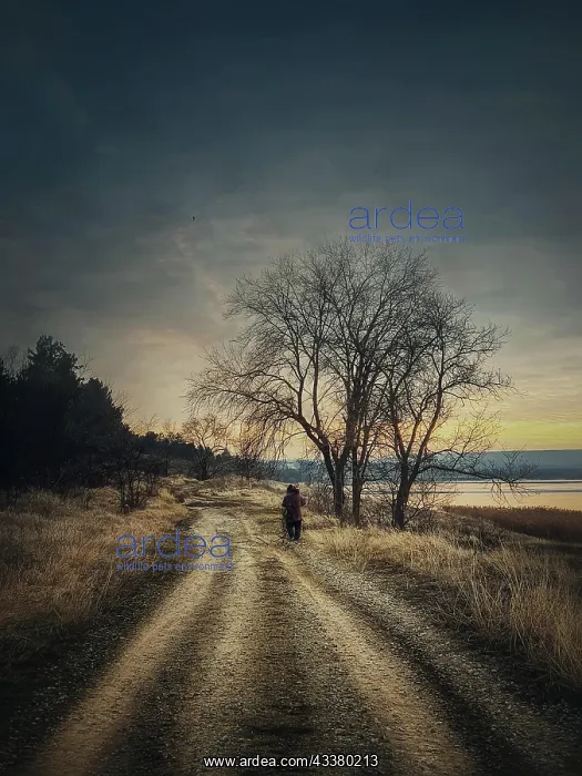 : Lonely nomad person walking a country road. Moody : Lonely nomad person walking a country road. Moody