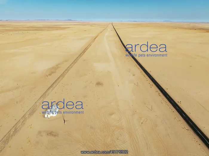 : The long abandoned Garum train station and the B4 tarred road in the southern Namib Desert : The long abandoned Garum train station and the B4 tarred road in the southern Namib Desert
