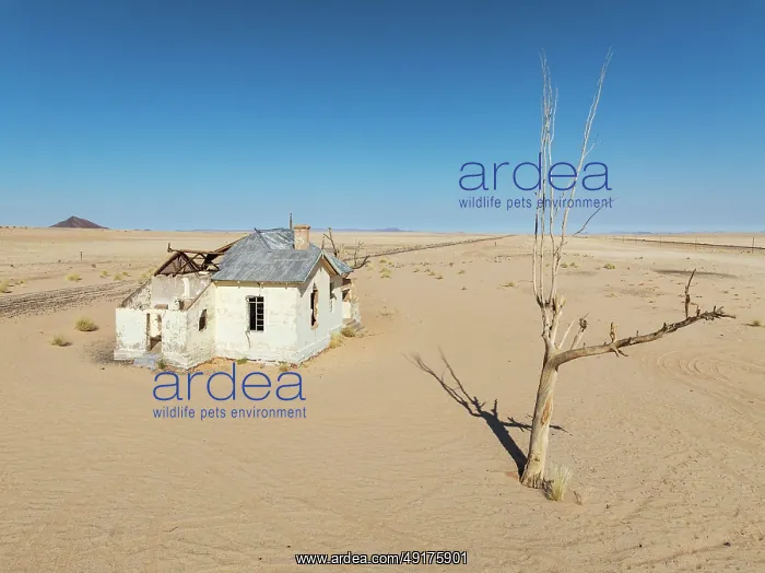 : The long abandoned Garum train station in the southern Namib Desert : The long abandoned Garum train station in the southern Namib Desert