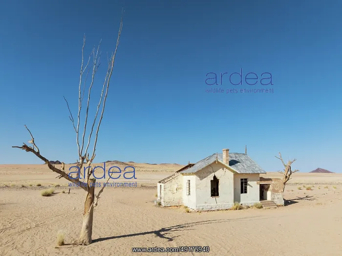 : The long abandoned Garum train station in the southern Namib Desert : The long abandoned Garum train station in the southern Namib Desert