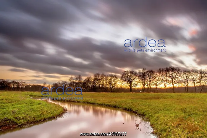: Long exposure image of sunset over small river valley : Long exposure image of sunset over small river valley