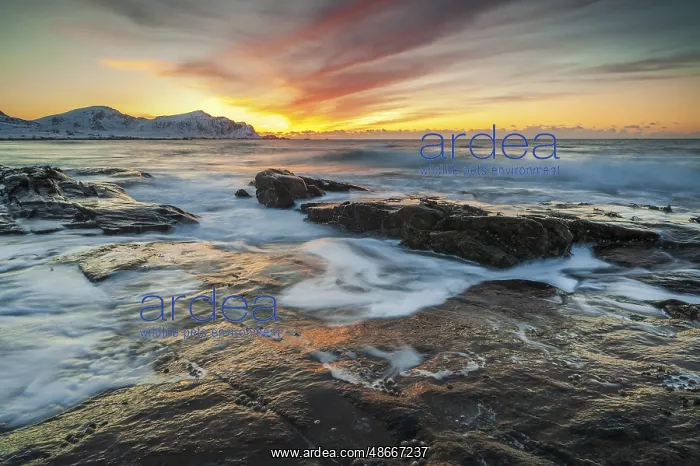: Long exposure, sunset in winter at Skagsanden, rocks washed : Long exposure, sunset in winter at Skagsanden, rocks washed