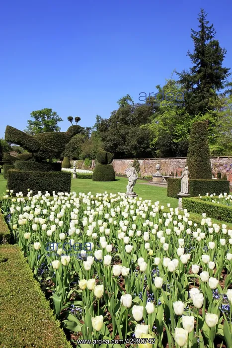 : The Long Garden at Cliveden Buckinghamshire England on a spr : The Long Garden at Cliveden Buckinghamshire England on a spr