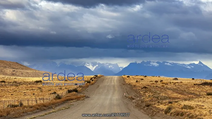  : A long gravel road leads to a distant mountain range under a cloudy sky