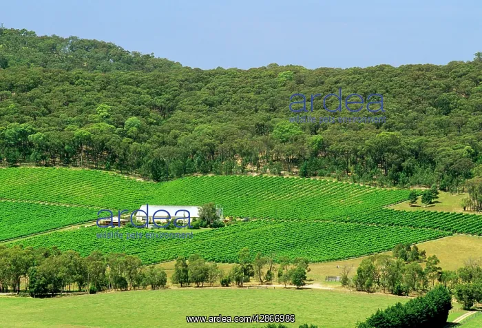 : Long Gully Winery Yarra Valley : Long Gully Winery Yarra Valley