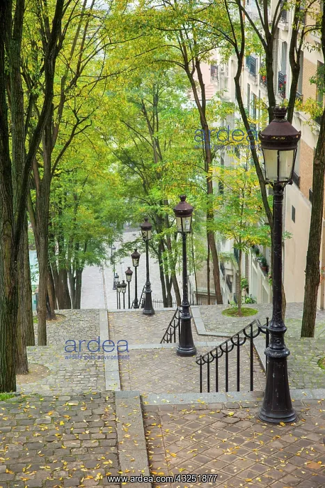 : The long steps to Sacre Coeur in Montmartre : The long steps to Sacre Coeur in Montmartre
