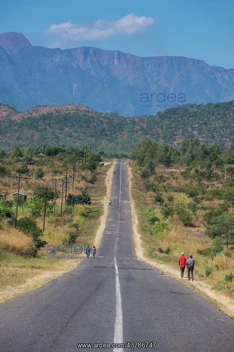  : Long straight road in central Malawi, Africa