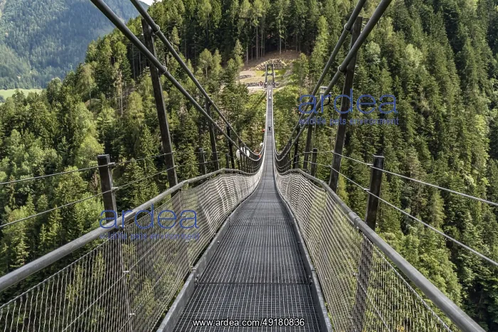 : Long suspension bridge over a forest gorge in the South Tyrolean Alps : Long suspension bridge over a forest gorge in the South Tyrolean Alps