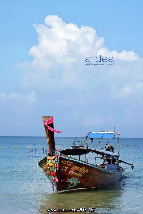  : Long tailed boat on West Railay Beach, Krabi, Thailand