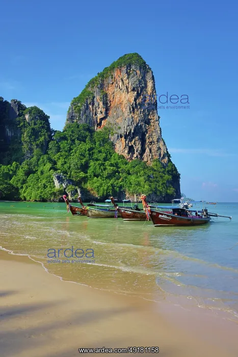  : Long Tailed Boats on Railay Beach, Krabi, Thailand