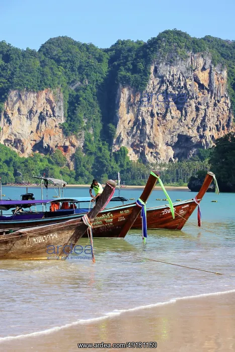  : Long Tailed Boats on Railay Beach, Krabi, Thailand