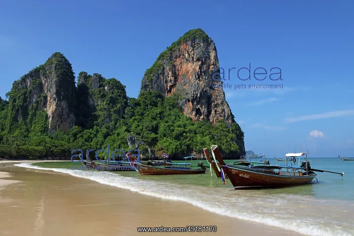  : Long Tailed Boats on Railay Beach, Krabi, Thailand