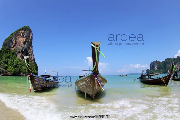  : Long Tailed Boats on Railay Beach, Krabi, Thailand