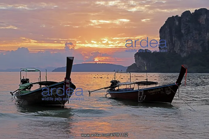  : Long tailed boats at sunset on West Railay Beach, Krabi, Thailand