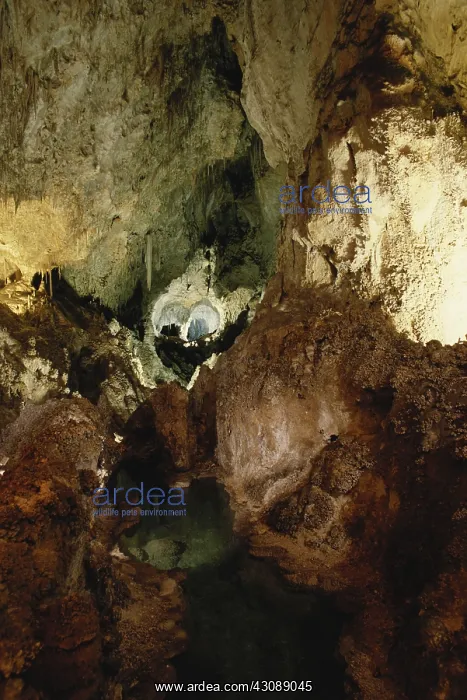 : Longfellow's Lake, Carlsbad Caverns : Longfellow's Lake, Carlsbad Caverns