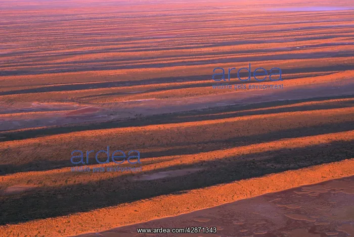 : Longitudinal dunes over alluvial plain of clay & gibber : Longitudinal dunes over alluvial plain of clay & gibber
