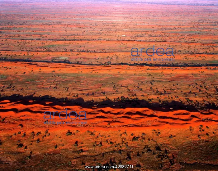 : Longitudinal sand dunes : Longitudinal sand dunes