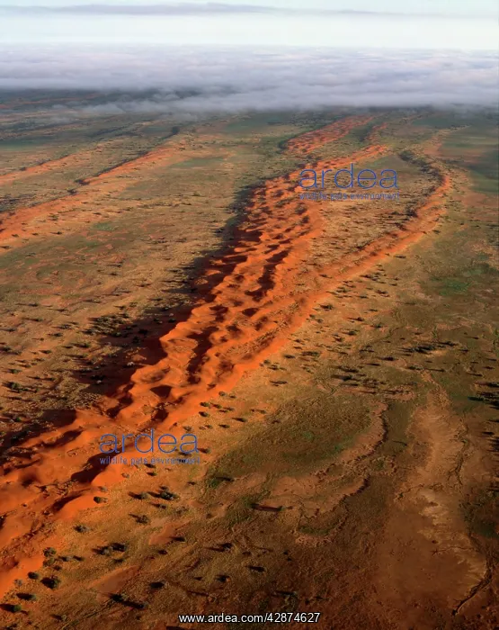 : Longitudinal sand dunes aerial : Longitudinal sand dunes aerial