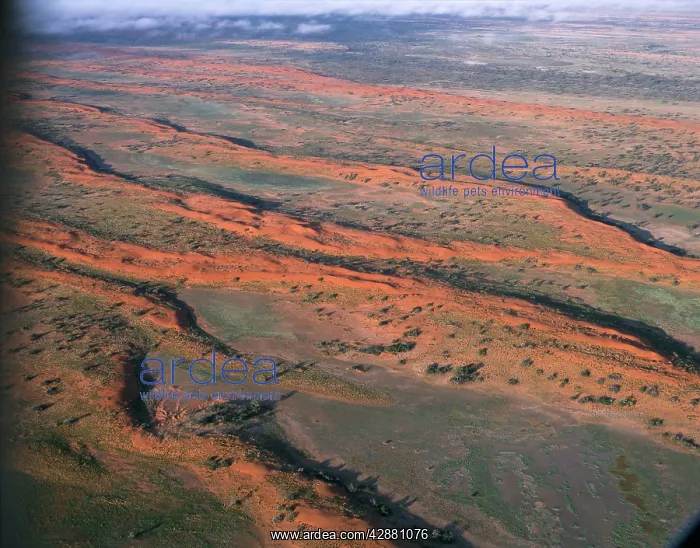 : Longitudinal sand dunes Strzelecki Desert : Longitudinal sand dunes Strzelecki Desert