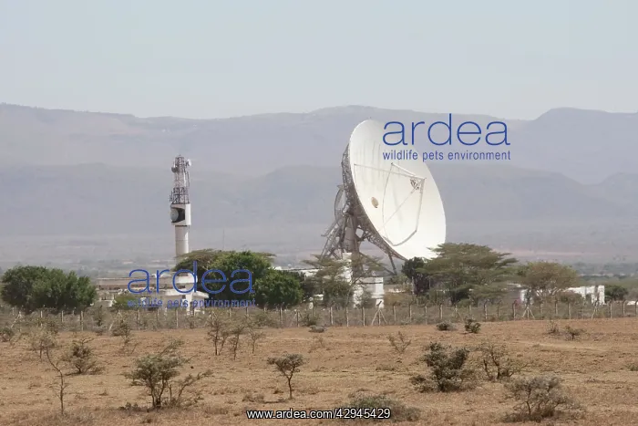 : Longonaut earth satellite station : Longonaut earth satellite station